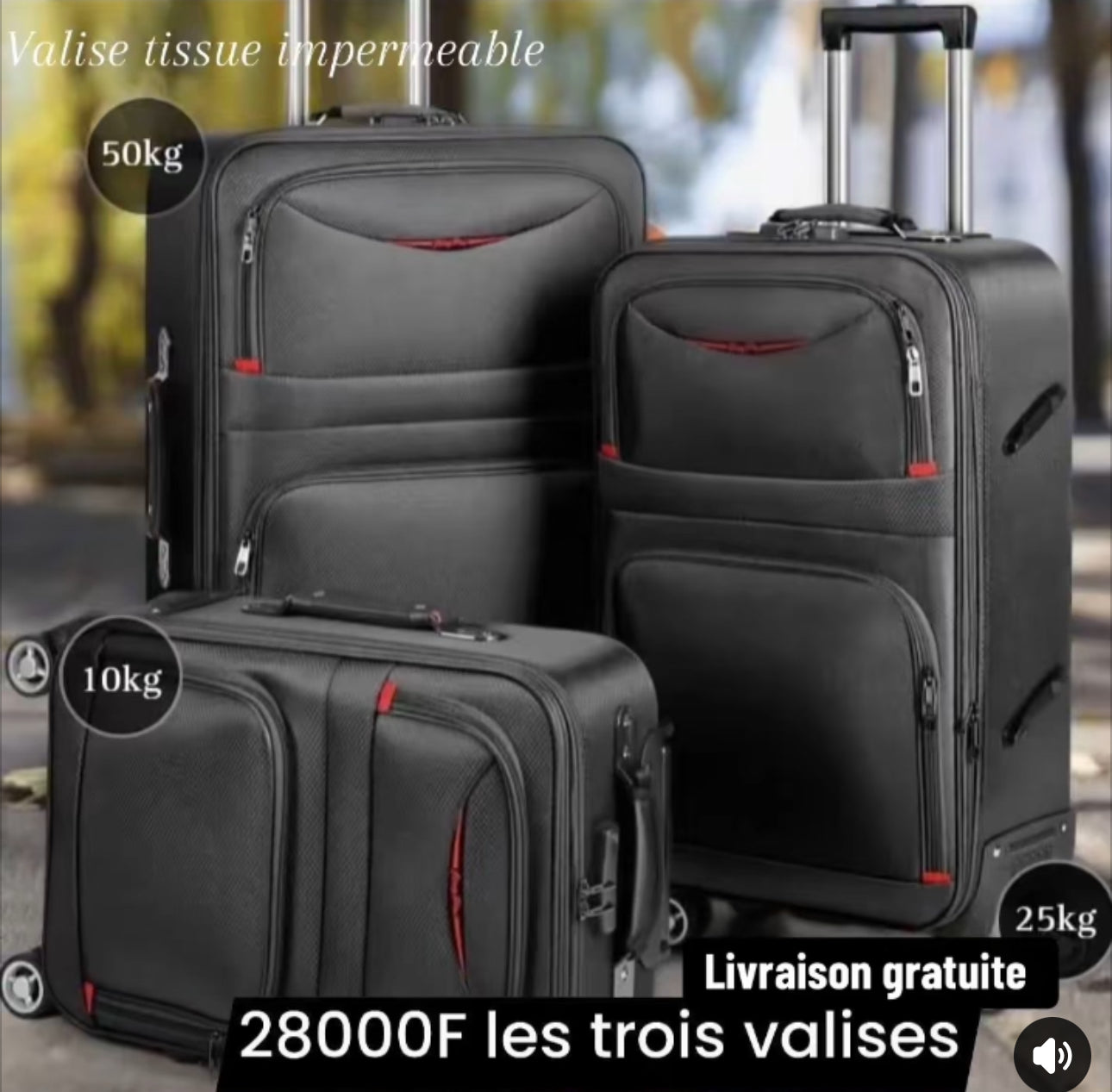 Valise importer Italie