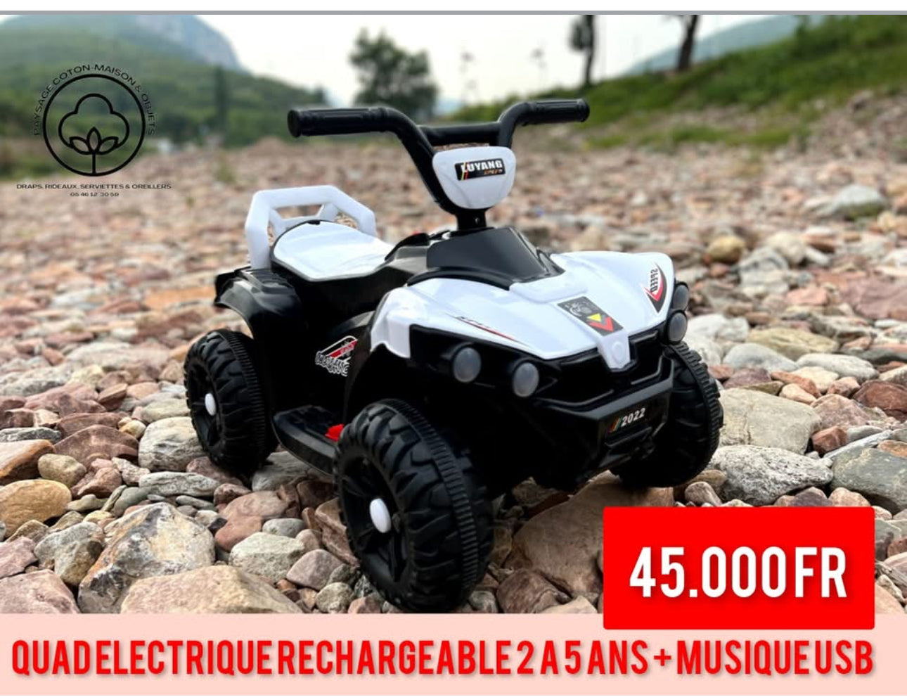 Voiture électrique 3 à 4 ans