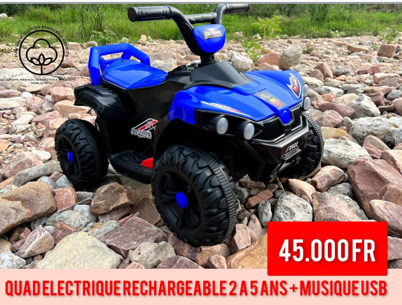 Voiture électrique 3 à 4 ans